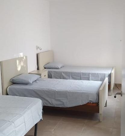 Pis Carretera Santa Pau Appartement Olot Buitenkant foto