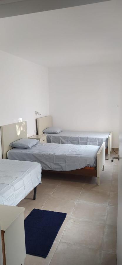 Pis Carretera Santa Pau Appartement Olot Buitenkant foto